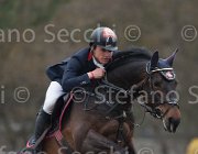 Schmid Coco Chanel TosTour 2013- S4 6973 : Arezzo Equestrian Centre, Coco Chanel, Schmid Maximilian, Toscana Tour 2013, foto di Stefano Secchi ©